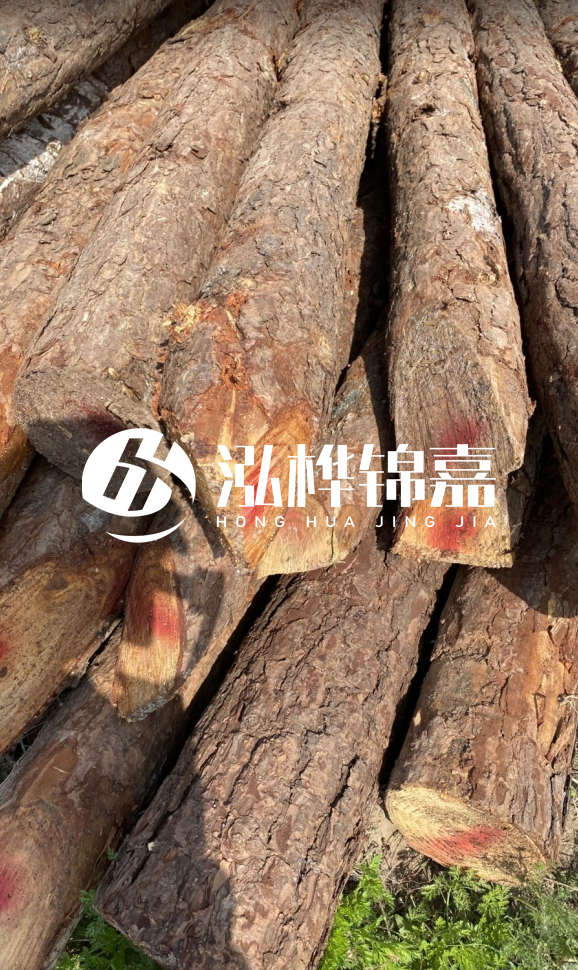 <strong>松木樁和杉木樁的用途區(qū)別？哪個更適合打樁用？</strong>