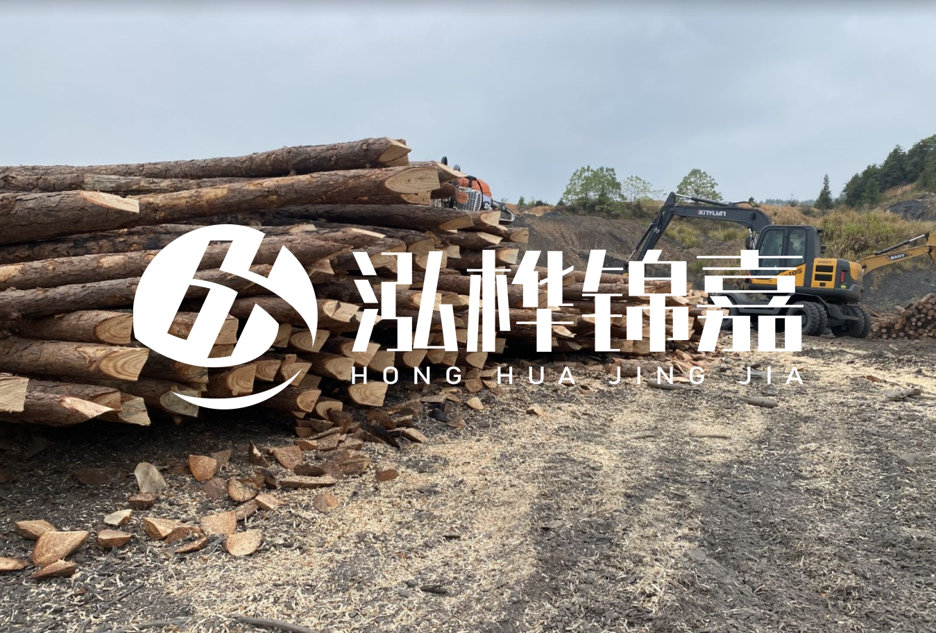 松木樁尾徑是什么意思？