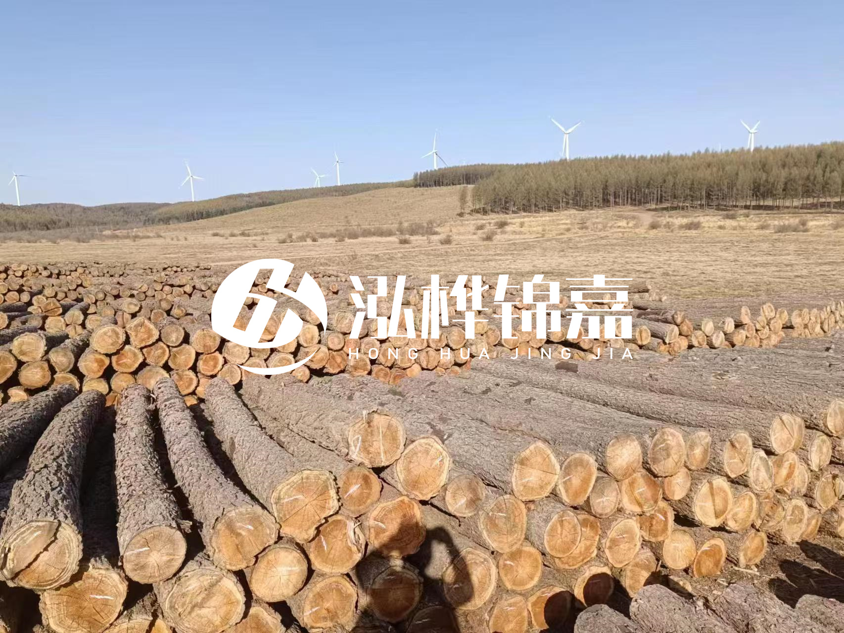 咸寧松木樁源頭廠家-哪里能買到質量好的松木樁打樁木？