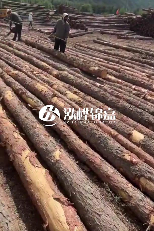?？谒赡緲对搭^廠家-松木樁最長(zhǎng)可以做多少米？