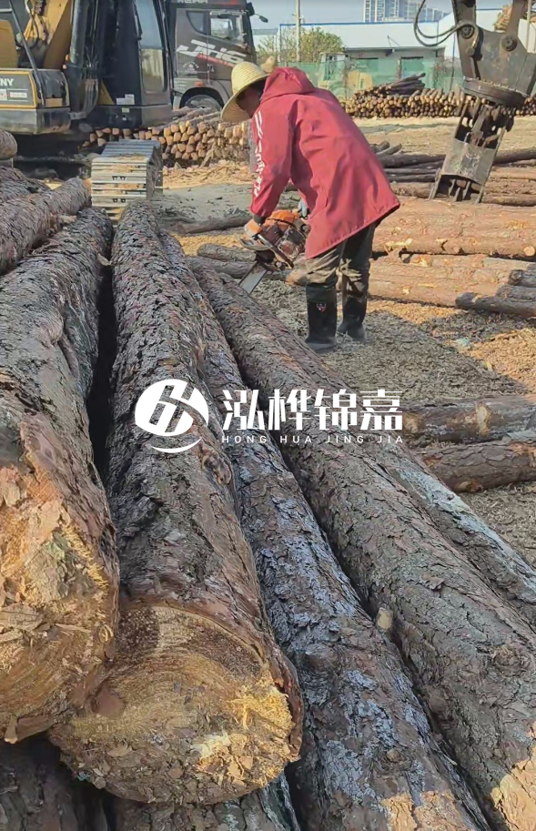 長(zhǎng)沙打樁木批發(fā)廠家在哪里？聯(lián)系方式是什么？
