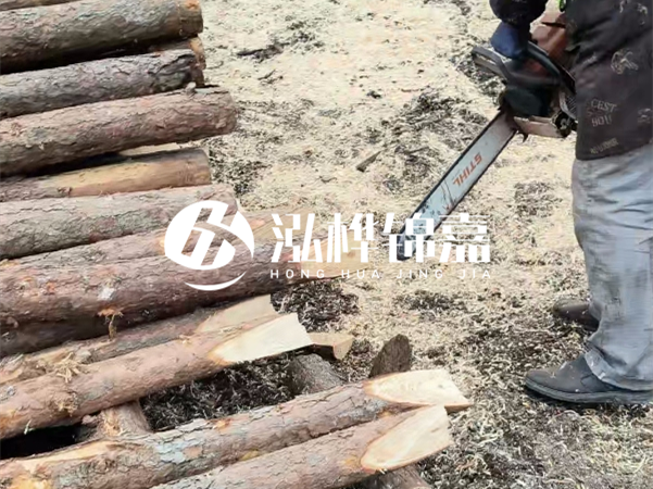 杉木樁批發(fā)廠家哪家好？產(chǎn)地直供渠道推薦！