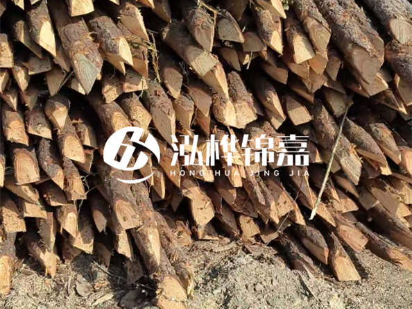 2.5米松木樁大頭15CM多少錢(qián)一根？20CM多少錢(qián)一根？