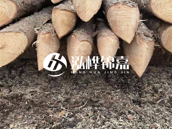 打樁木樁與鋼樁相比有哪些優(yōu)缺點(diǎn)？如何進(jìn)行后期維護(hù)？