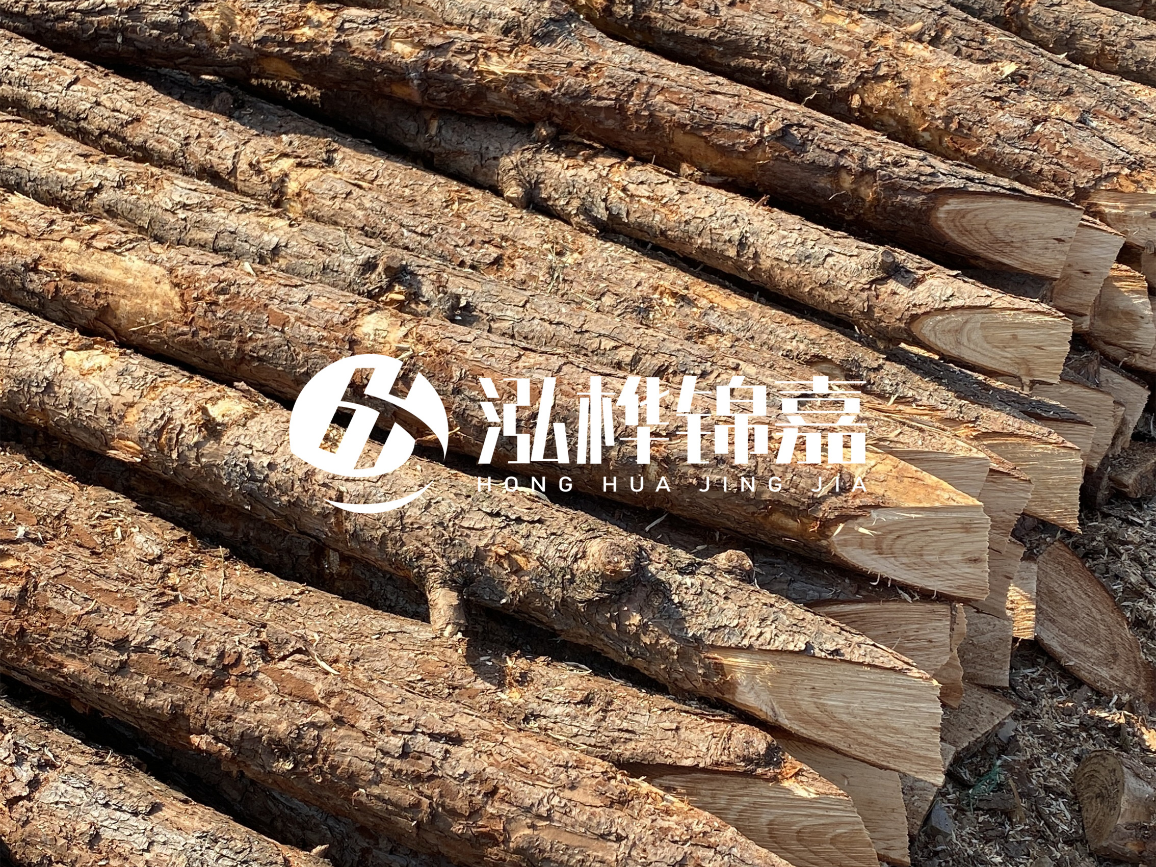 8 米超大直徑松木樁的價格是多少？帶皮和去皮松木樁價格差多少？
