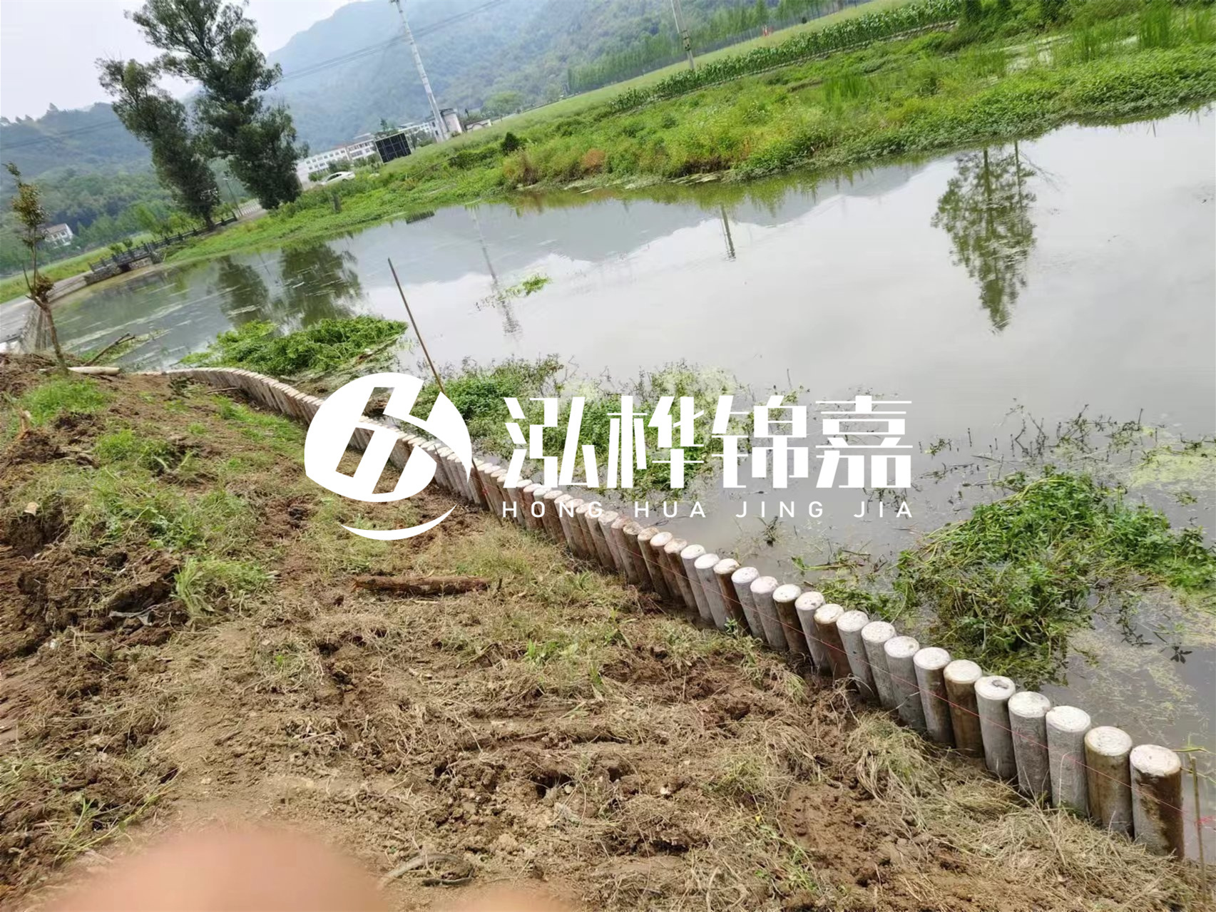 松木樁加固河道與水泥樁對比如何？哪一種更加適合您？