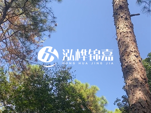 松木樁廠家泓樺錦嘉可以實(shí)地考察嗎？需要提前預(yù)約嗎？