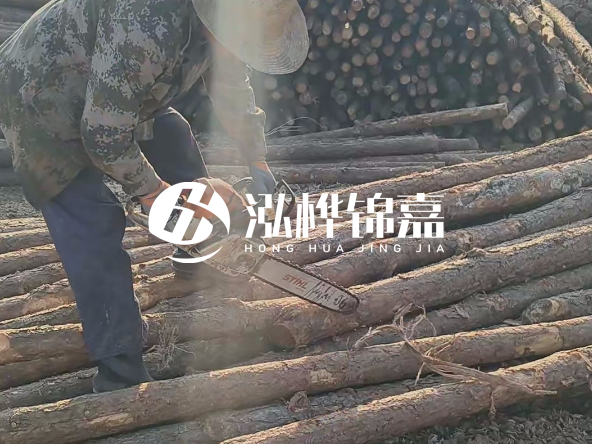 廣東打樁木源頭廠家泓樺錦嘉 - 如何選擇適合特定邊坡的松木樁？