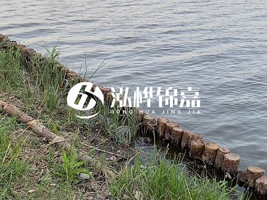 防洪松木樁施工重要性？河道打木樁的位置怎么確定？