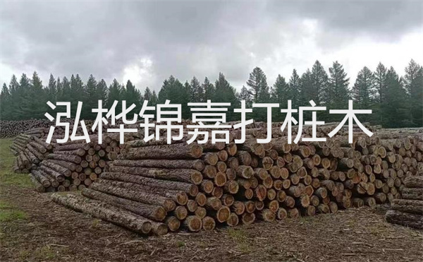 選擇紅磚護(hù)坡，打造獨(dú)特的美麗景觀