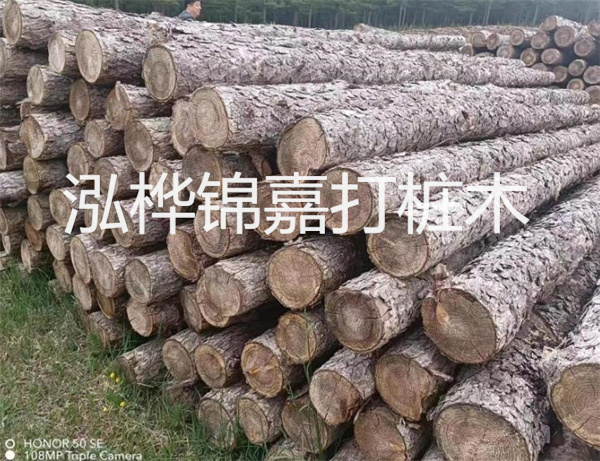 高效修補(bǔ)，保駕護(hù)航！水泥路面高強(qiáng)度修補(bǔ)料為您解決煩惱！