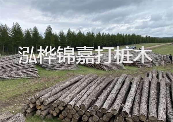 鋼結(jié)構(gòu)施工方案大全免費(fèi)提供，助力工程建設(shè)