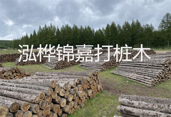 軟土地基應(yīng)按照哪些要素進(jìn)行施工與管理？