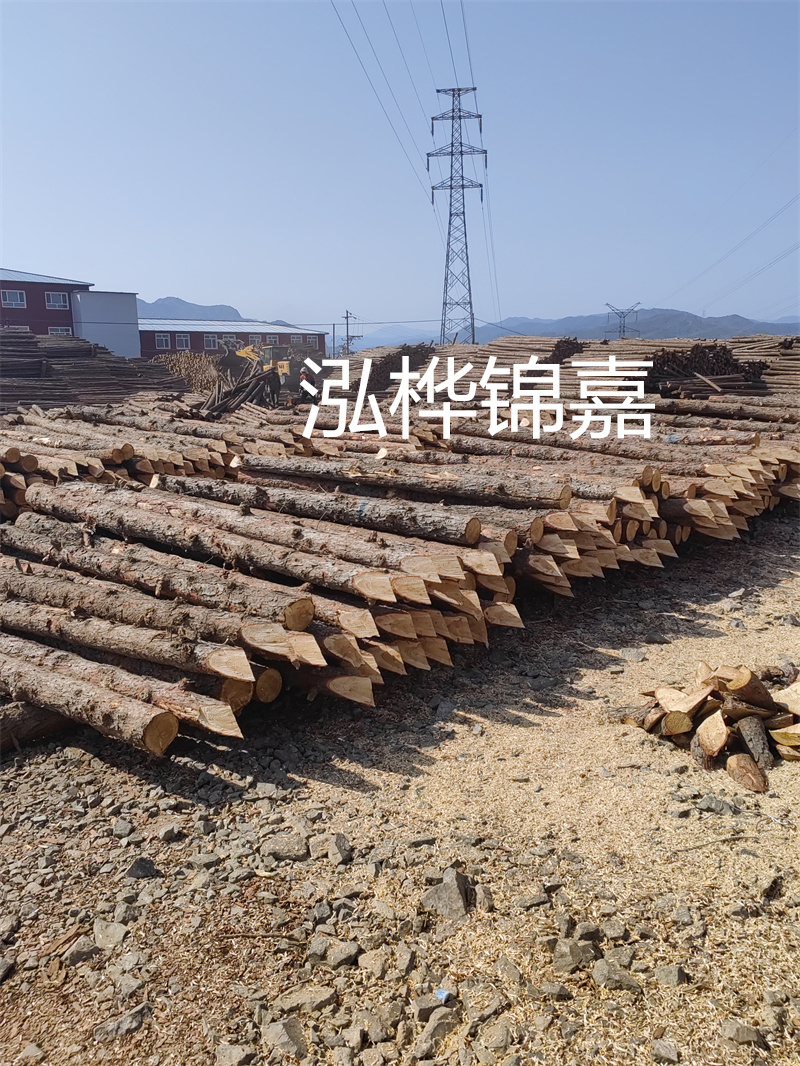 深入了解松木樁基礎(chǔ)施工單價(jià)，助力工程建設(shè)順利進(jìn)行！