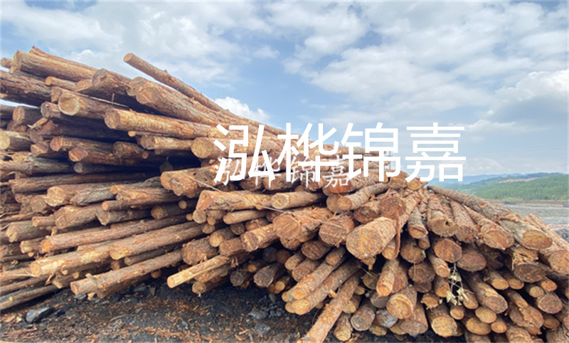 濮陽松木樁，卓越品質(zhì)，安全可靠