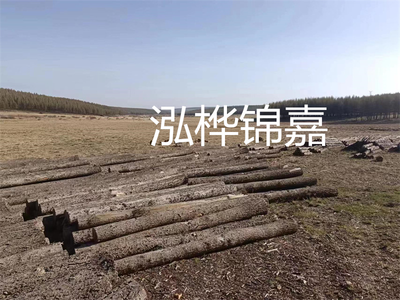 鄂州松木樁哪里好？推薦泓樺錦嘉松木樁業(yè)！